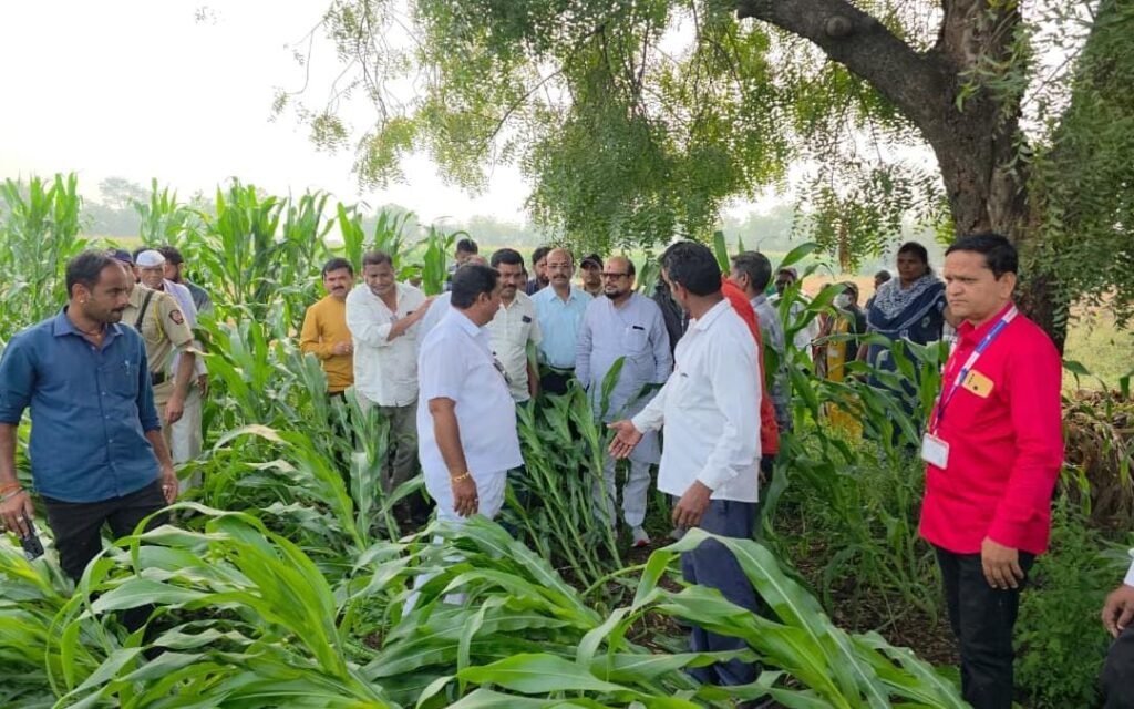 अवकाळी पावसात नुकसानग्रस्त शेतकऱ्यांच्या पाठीशी शासन खंबीरपणे उभे – पालकमंत्री गुलाबराव पाटील