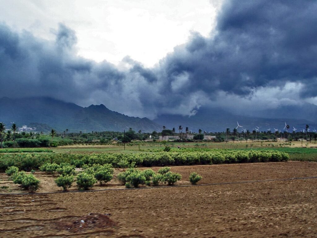 किमान 15 जूनपर्यंत राज्यात सर्वत्र मान्सूनच्या पावसाची शक्यता कमी;शेतकऱ्यांनी पेरणीची घाई करू नये